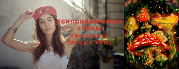 ПСИЛОЦИБИНОВЫЕ ГРИБЫ Бугульма