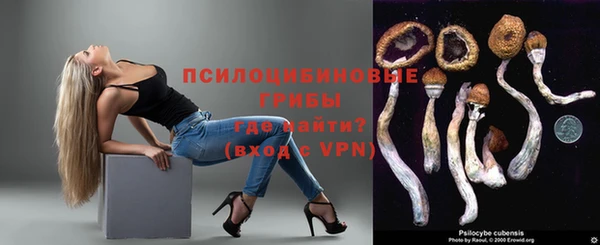 ПСИЛОЦИБИНОВЫЕ ГРИБЫ Бугульма