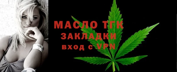 гидра Верхний Тагил