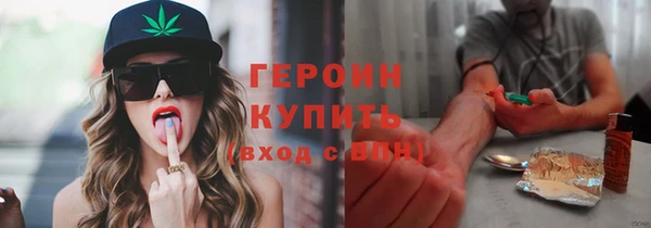 гидра Верхний Тагил