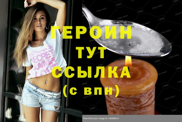 гидра Верхний Тагил