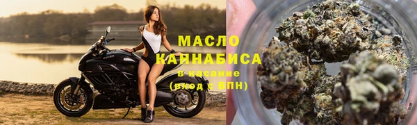 гидра Верхний Тагил