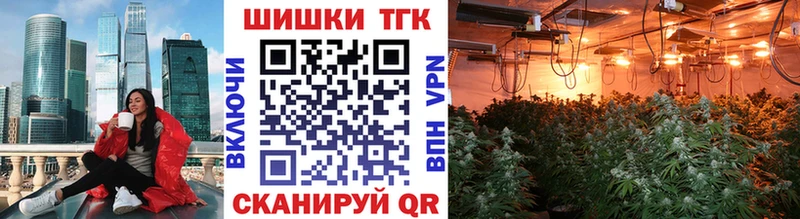 OMG как войти  Новохопёрск  Бошки марихуана планчик  где купить наркоту 